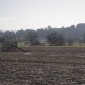 Grüne Poesie Winter (Foto: Veranstalter)