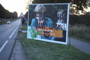 Wahlplakate besprüht