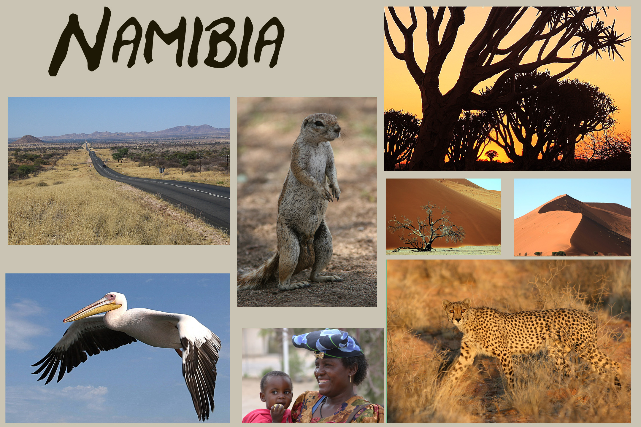 Namibia – Ein Diamant im Süden Afrikas