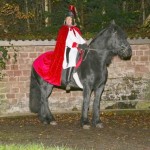 Martinsumzug in Hassel