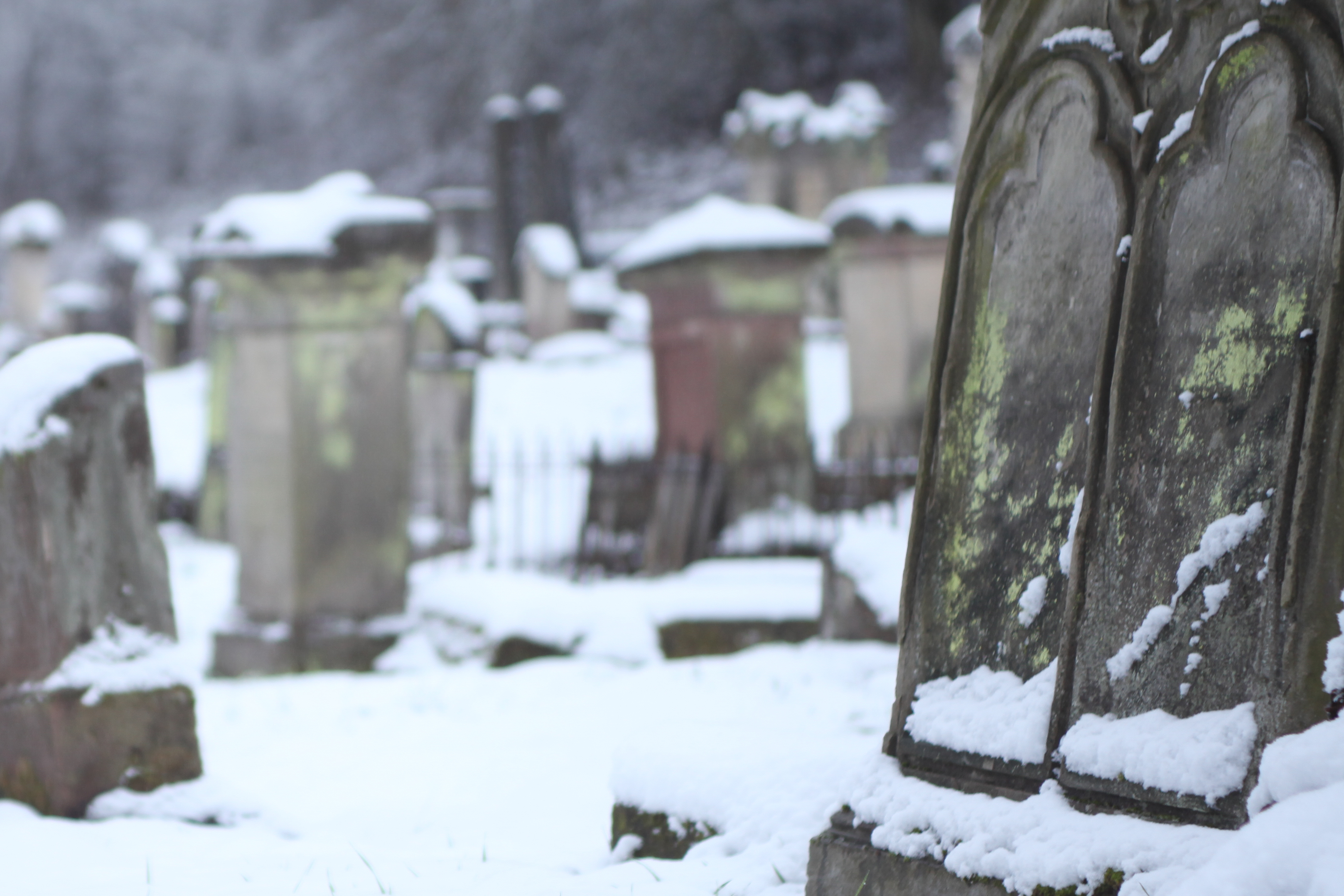 Wieder Grabräuber auf dem Friedhof