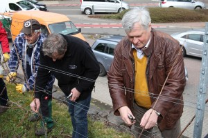 OB Hans Wagner schneidet Weinreben zurecht