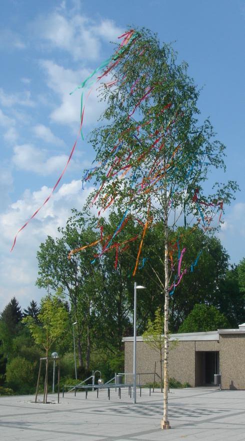 Pressemitteilung: Traditionelle Maibaumfeier der SPD Rohrbach