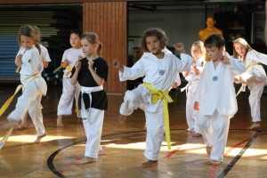 Foto: Karate Club St. Ingbert e.V.