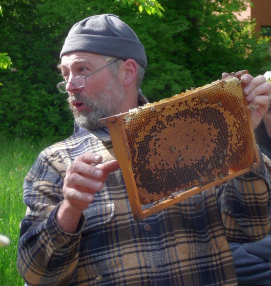 Kurs: einfach Bienen halten