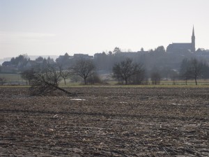 Grüne Poesie Winter (Foto: Veranstalter)