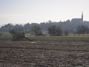 Grüne Poesie Winter (Foto: Veranstalter)