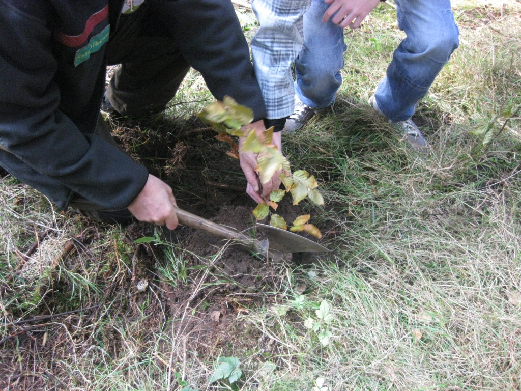 Waldtag – Ein Tag im grünen Klassenzimmer