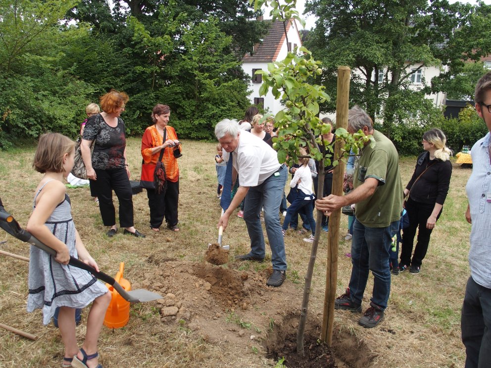 Ein sächsischer Königsapfelbaum für den Biosphären-Bürgergarten