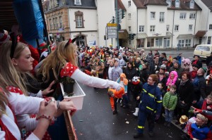 Faasenachtsumzug 2016 (Foto: Frank Leyendecker)