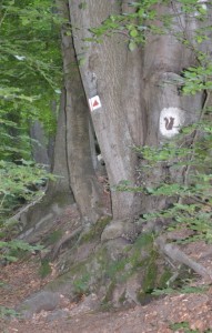 Foto: Gaby Marner-Büdel