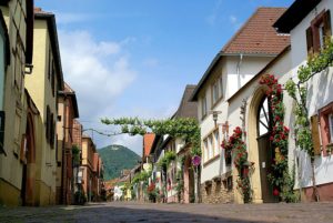 Foto: Gemeinde Rhodt unter Rietburg