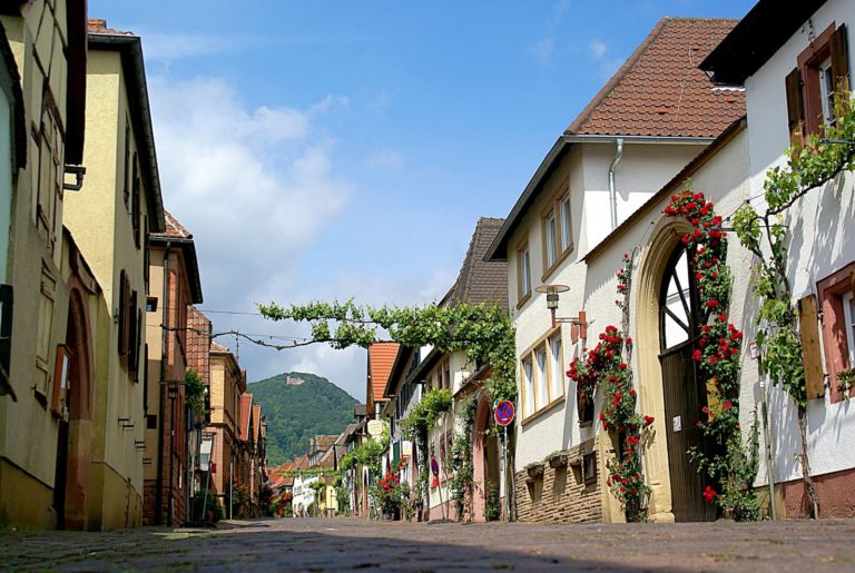 Fahrt zum Heimat- und Blütenfest nach Rhodt unter Rietburg