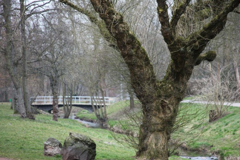 Die Gustav-Clauss-Anlage, St. Ingberts Stadtpark und Grüne Lunge