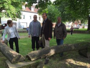 Foto (Irene Kaiser): Überpüfung der Baumstämme in der Seyenallee