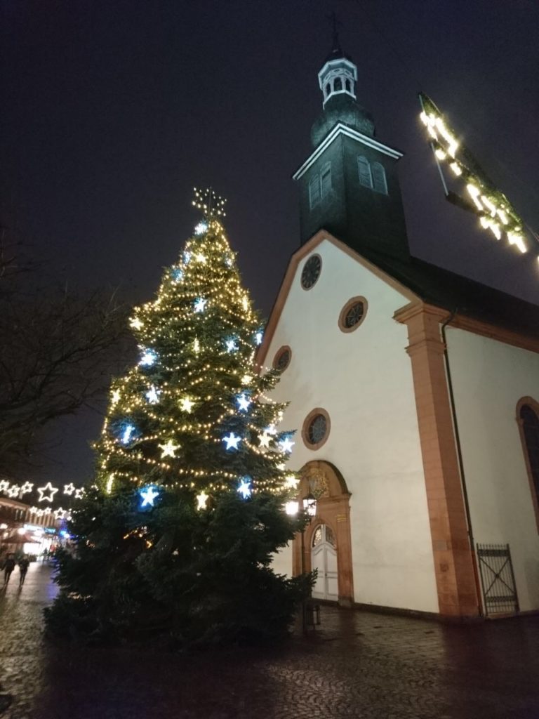 Ab sofort Weihnachtsbäume gesucht