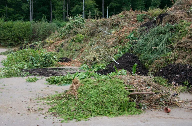 Anlieferung von Grünschnitt am Kompostplatz und auf dem Wertstoffhof