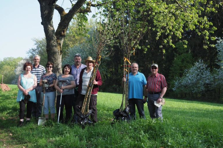 Streuobstwiesen auf dem Oberwürzbacher Farrenberg – Ehrenamtler beleben Tradition wieder