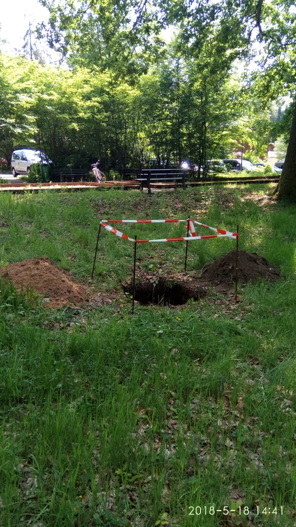 Internationaler Tag der Biologischen Vielfalt — Pflanzung einer Esskastanie im Elstersteinpark