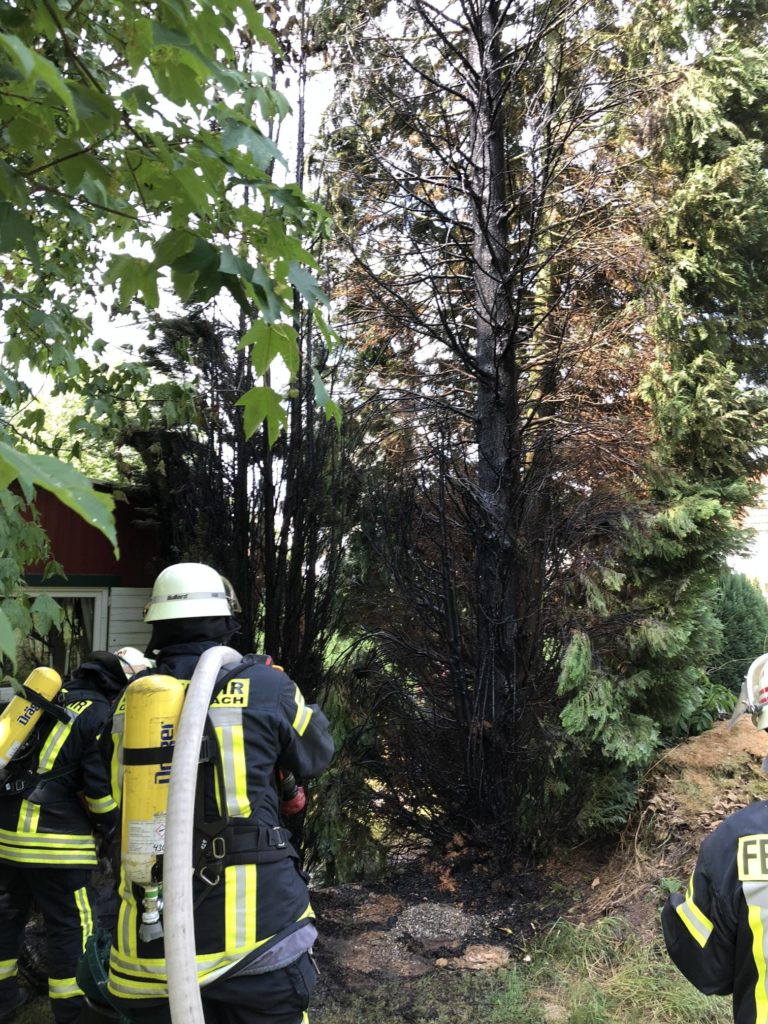 Brand mehrerer Bäume in einem Garten