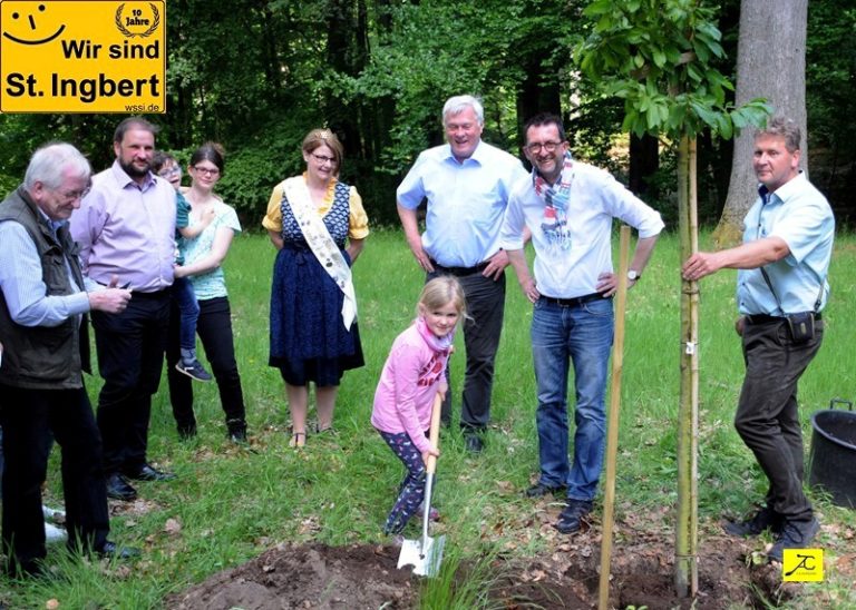 Eine Edelkastanie für den Elstersteinpark