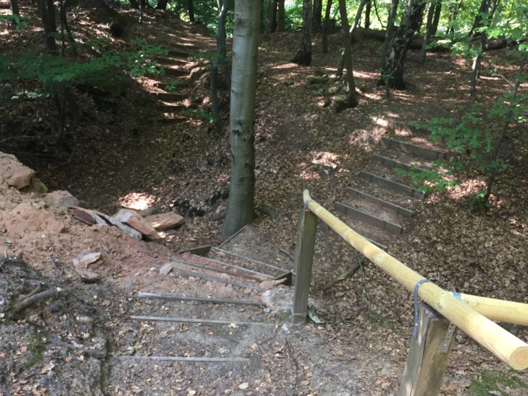 Kahlenbergfreunde und Kinderschutzbund haben den Steinbruchrundwanderweg instandgesetzt