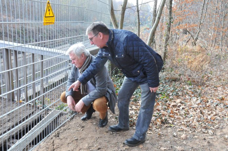 Fußgängerbrücke über Bahnstrecke bleibt