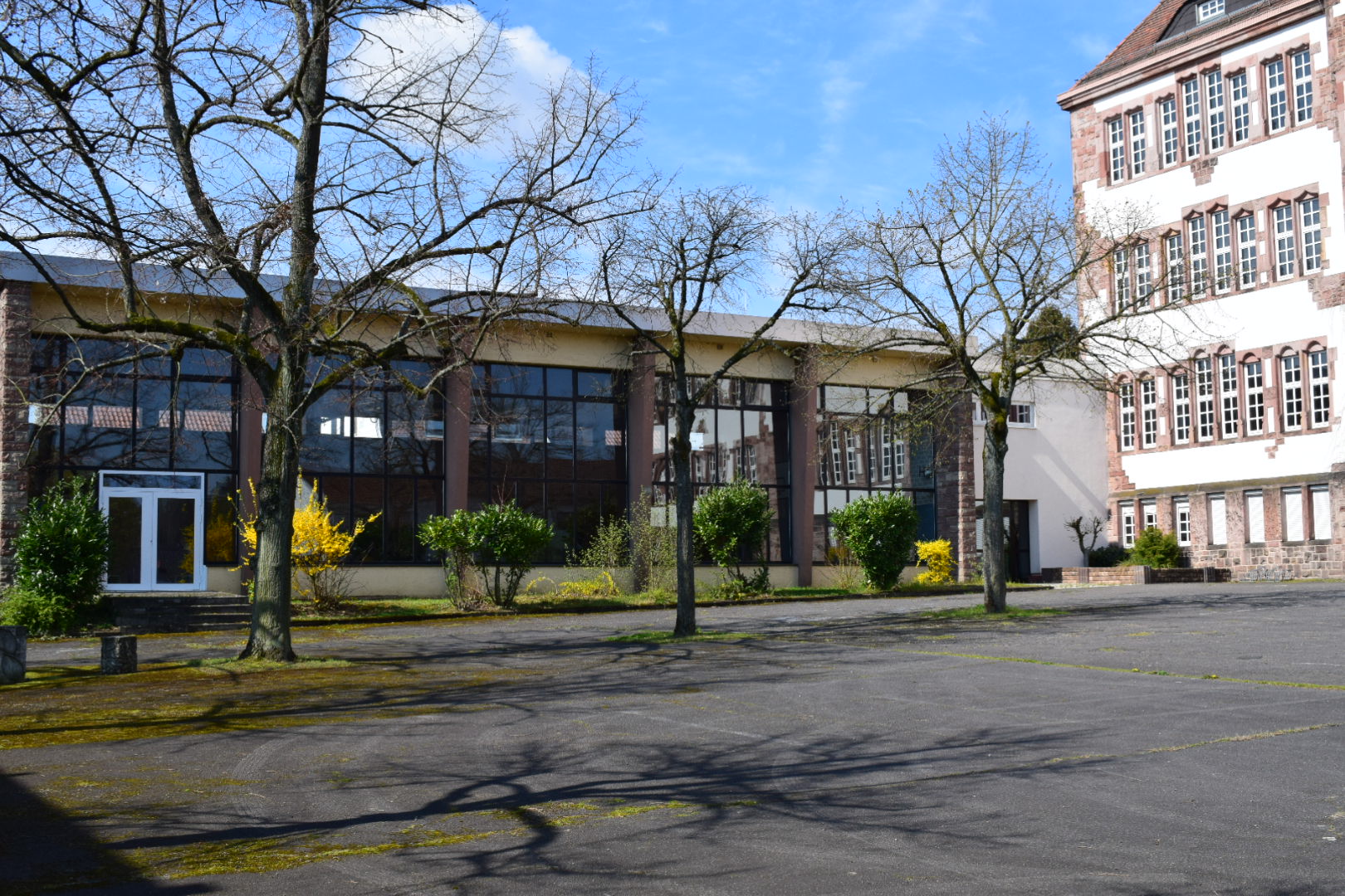 Picknick auf der Fideliswiese