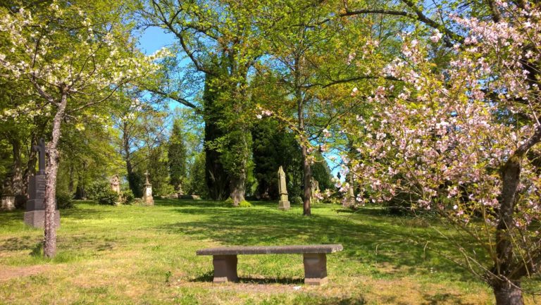 Randalierer auf dem Alten Friedhof – Stadtverwaltung sucht Zeugen
