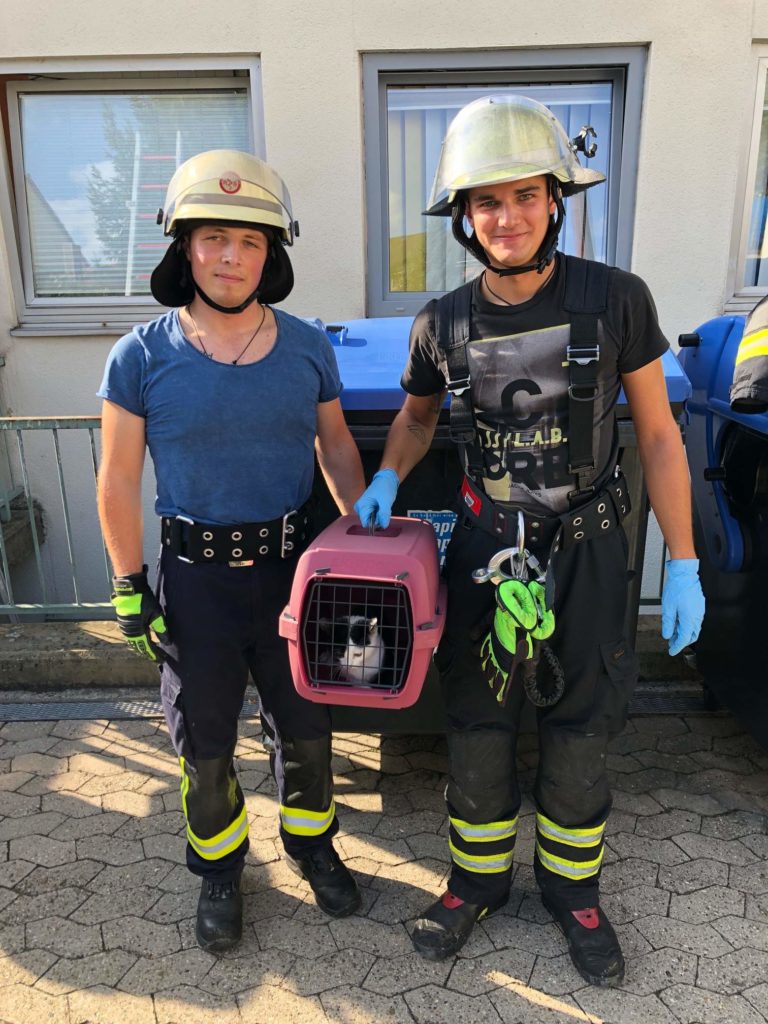 Feuerwehr rettet Kätzchen aus Schacht – Besitzer gesucht
