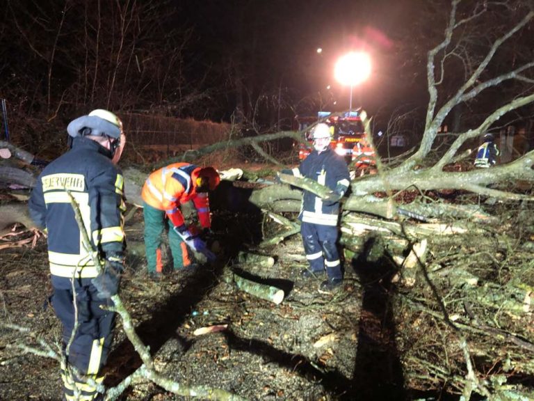 „Sabine“ hält St. Ingberter Einsatzkräfte in Atem