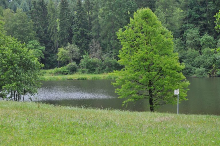 Ausflugsziel Glashütter Weiher am 1. Mai gesperrt