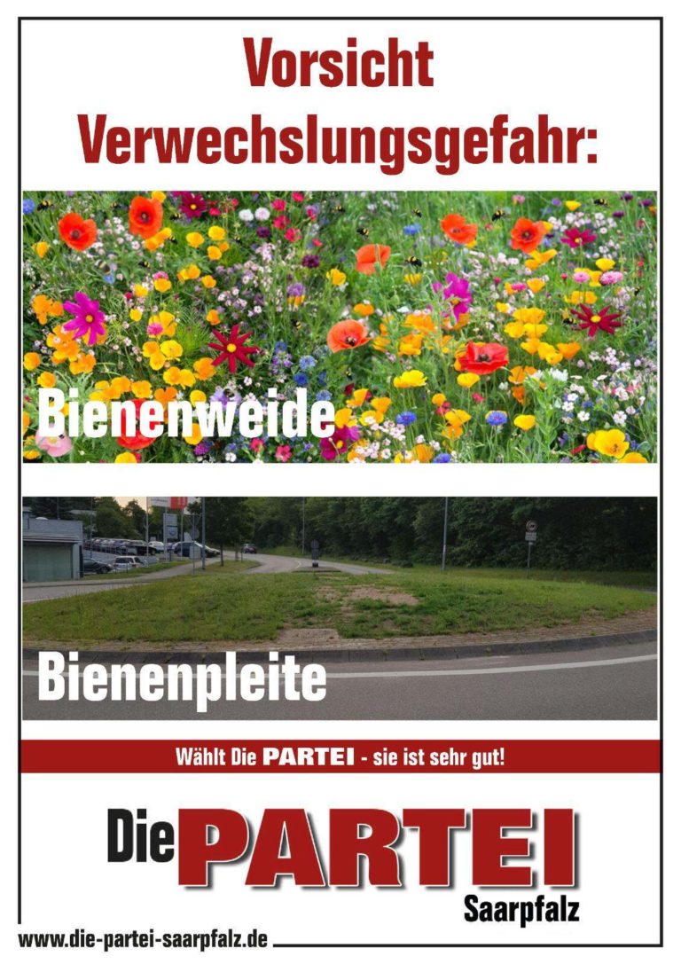 Bienenweide statt Bienenpleite