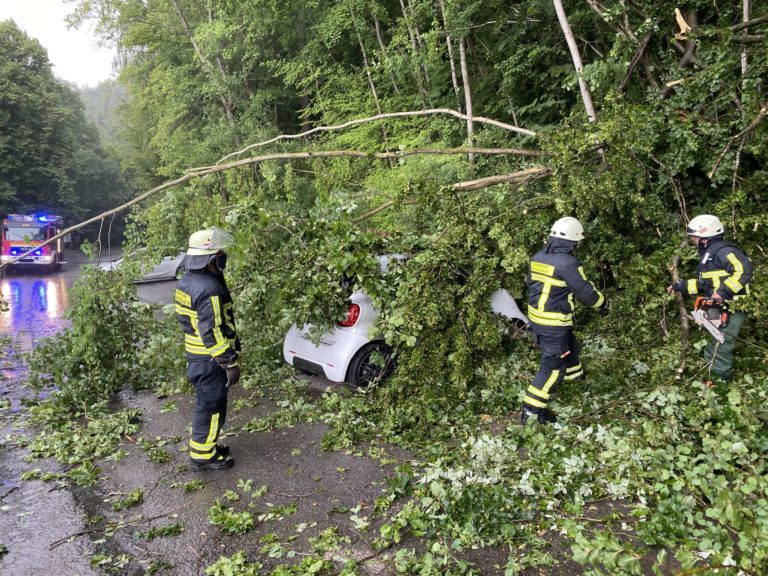 Baum auf PKW, Wasserschaden und Brandmeldeanlage