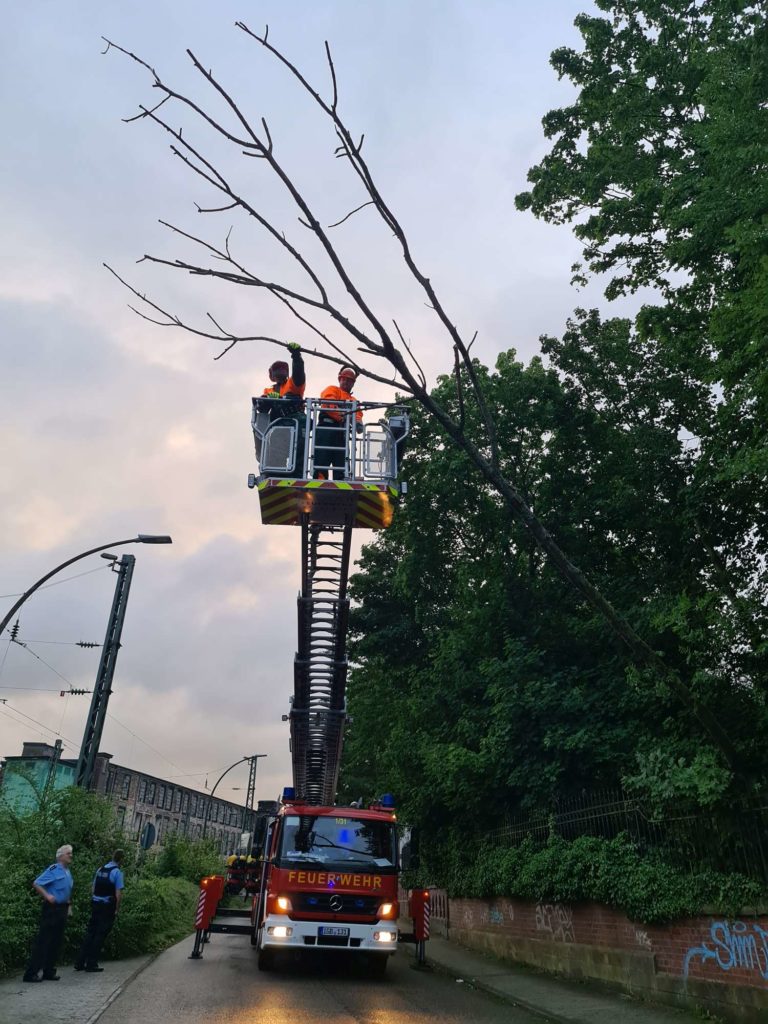 Baum drohte auf Straße zu stürzen