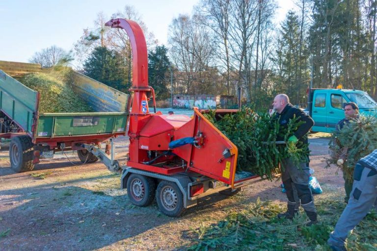 Aus Weihnachtsbäumen wird Fernwärme