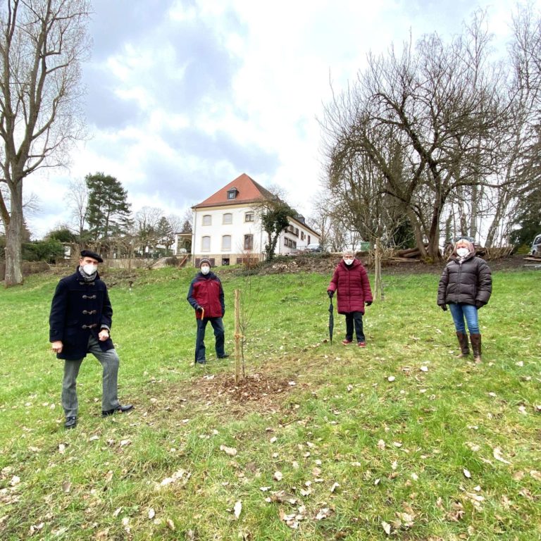 Der “Baum der Vielfalt” soll wachsen und gedeihen