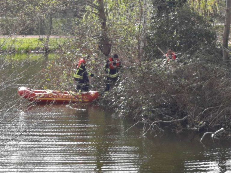 Feuerwehr stark gefordert