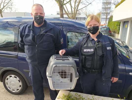 Ortspolizei rettet Igel aus Totschlagfalle