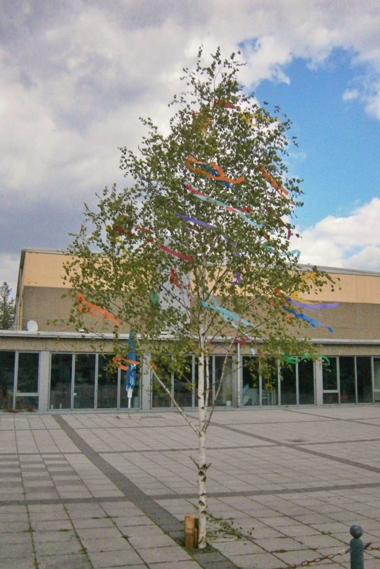 Maibaum gestellt