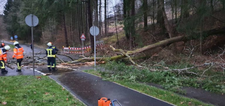 Sturmböen halten Feuerwehr auf Trab