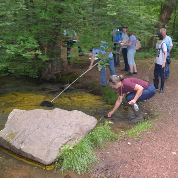 Stadtteilführungen in Rohrbach und Hassel