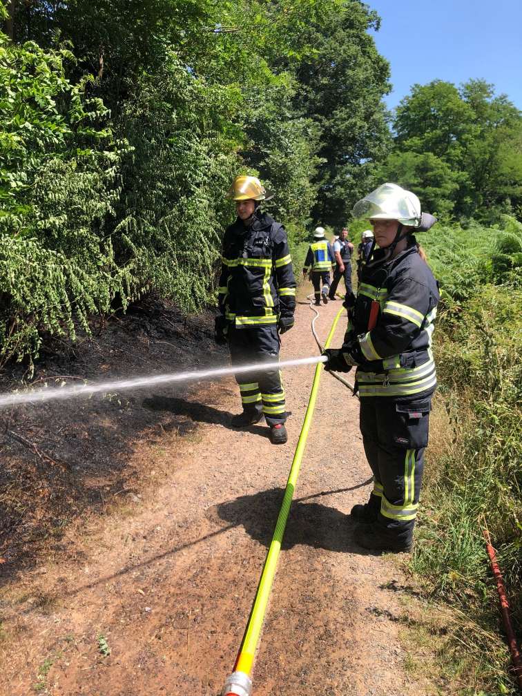 Feuerwehr verhindert ausgedehnten Waldbrand