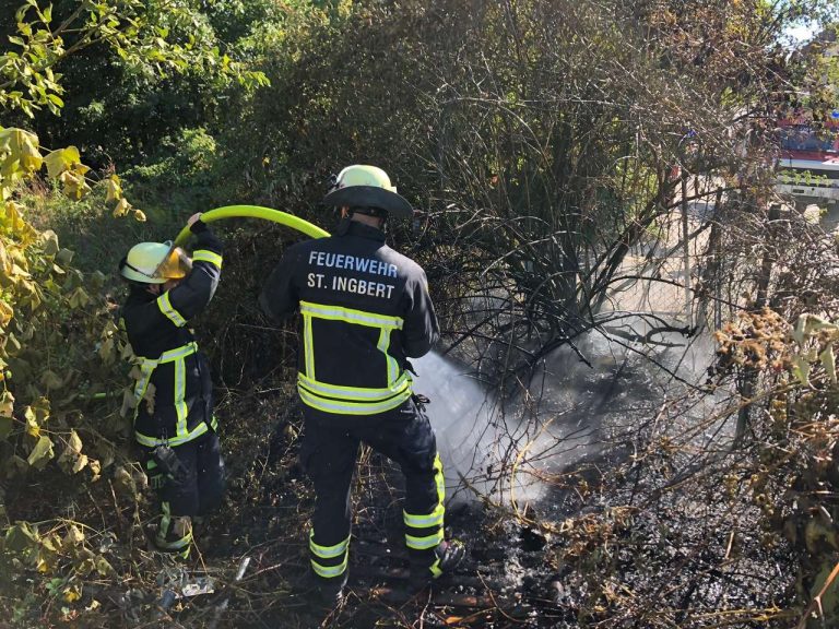 Mehrere Brände der Vegetation und maroder Kamin