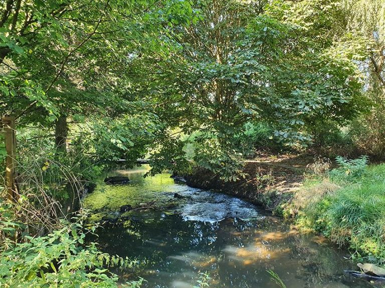 Die Rentrischer Talaue – eine ruhige Oase am Rande der Stadt