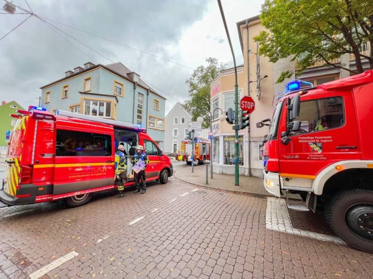 Zwei Mal Evakuierung Kino und Rettung von Hunden