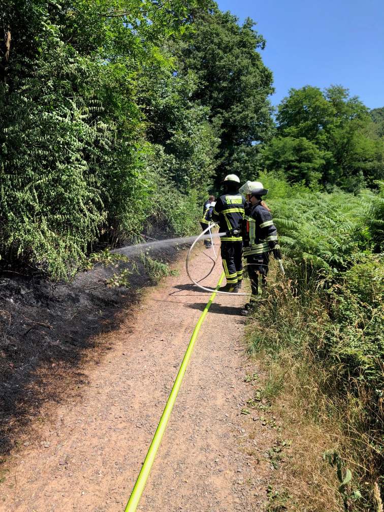 Feuerwehr warnt vor Wald- und Wiesenbrandgefahr