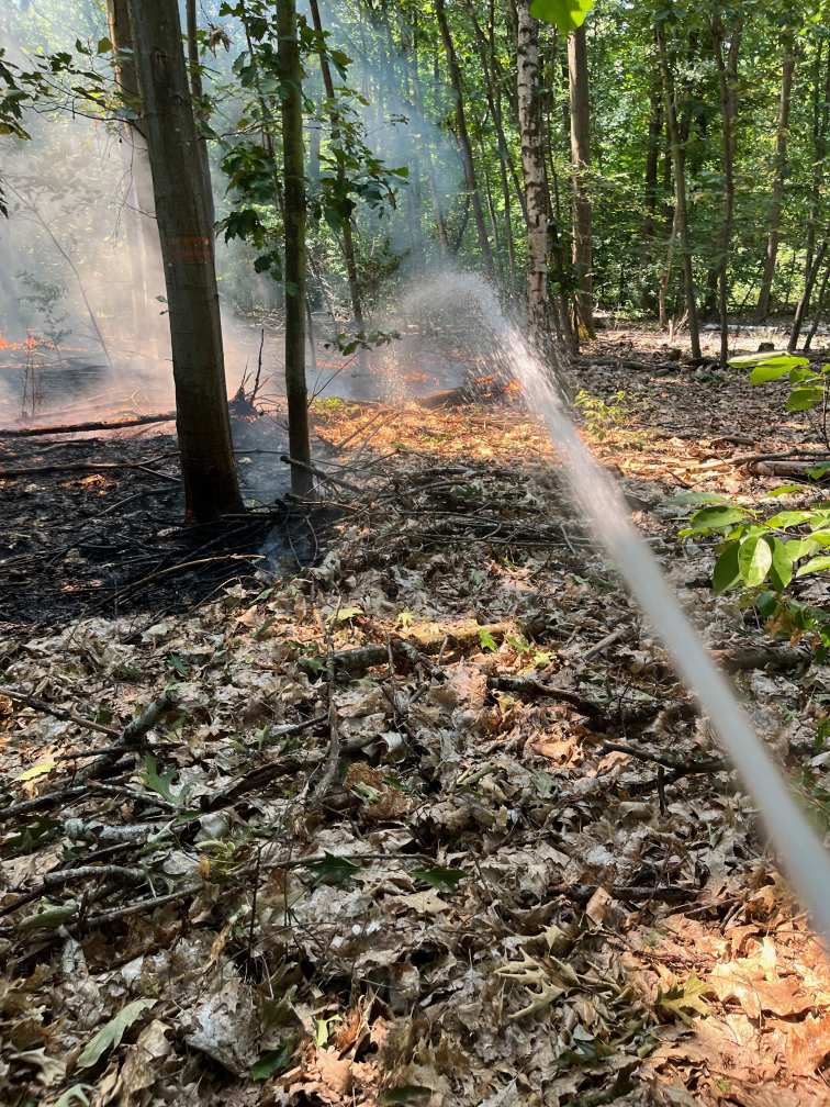 1000 qm Waldboden stehen in Flammen