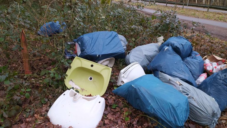 Wilde Müllablagerung in Hassel