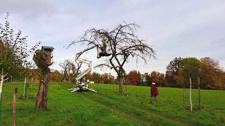 OGV-Aktionen auf dem Farrenberg bei Oberwürzbach